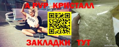 хмурый Донской
